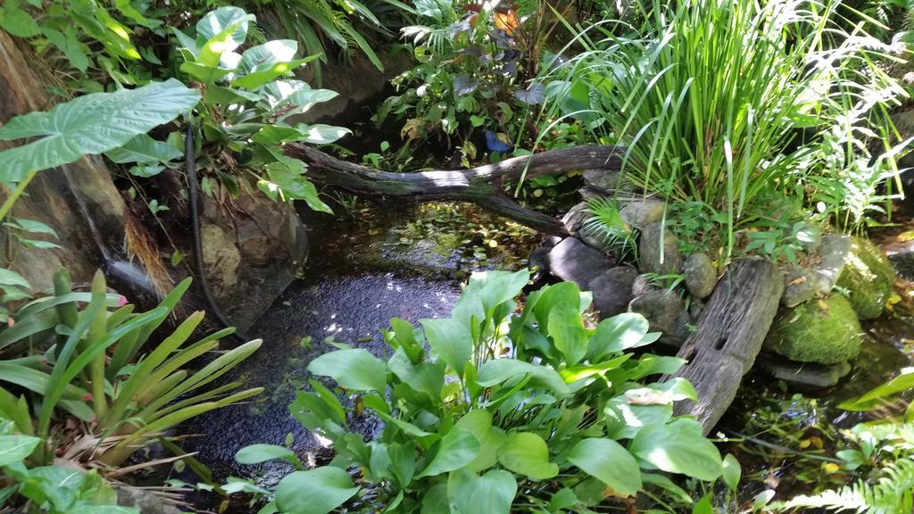 Cairns Gateway Resort Esterno foto